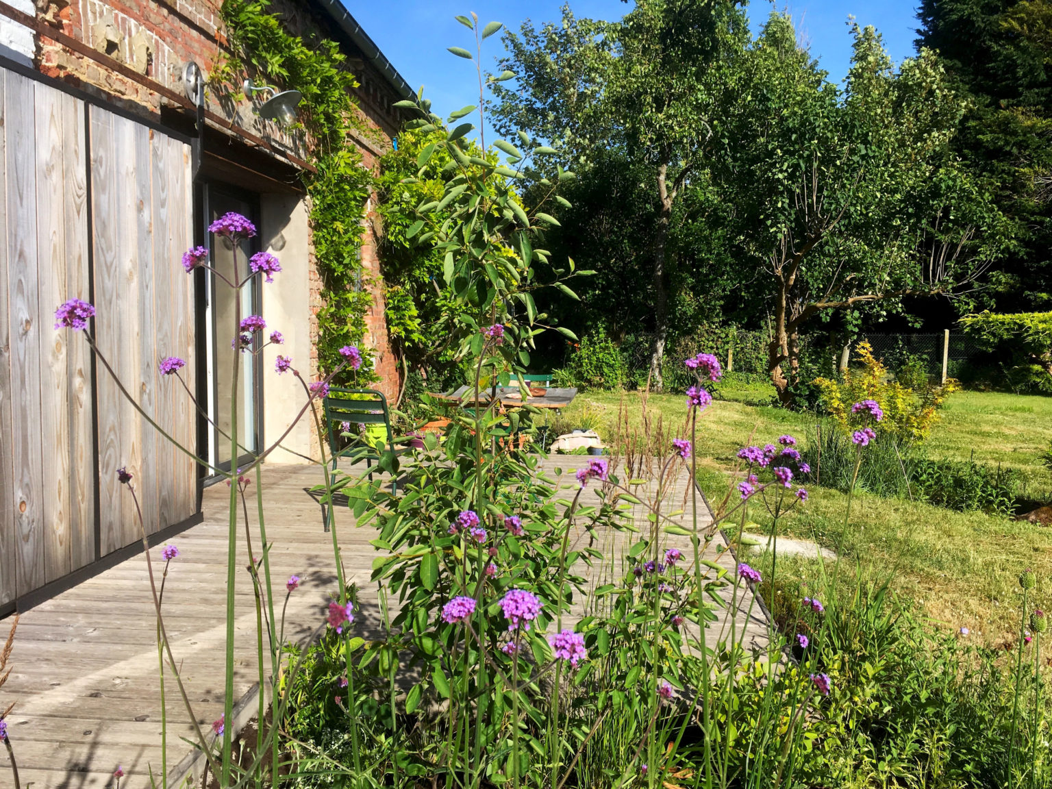 jardin-Nolette-Baie-de-somme-création-vivaces-sauvage-verbenabonariensis-juliette-blondelle