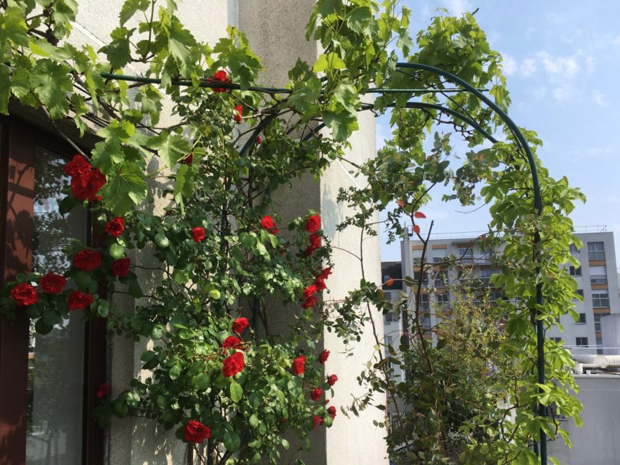 terrasse fleurie Ouest