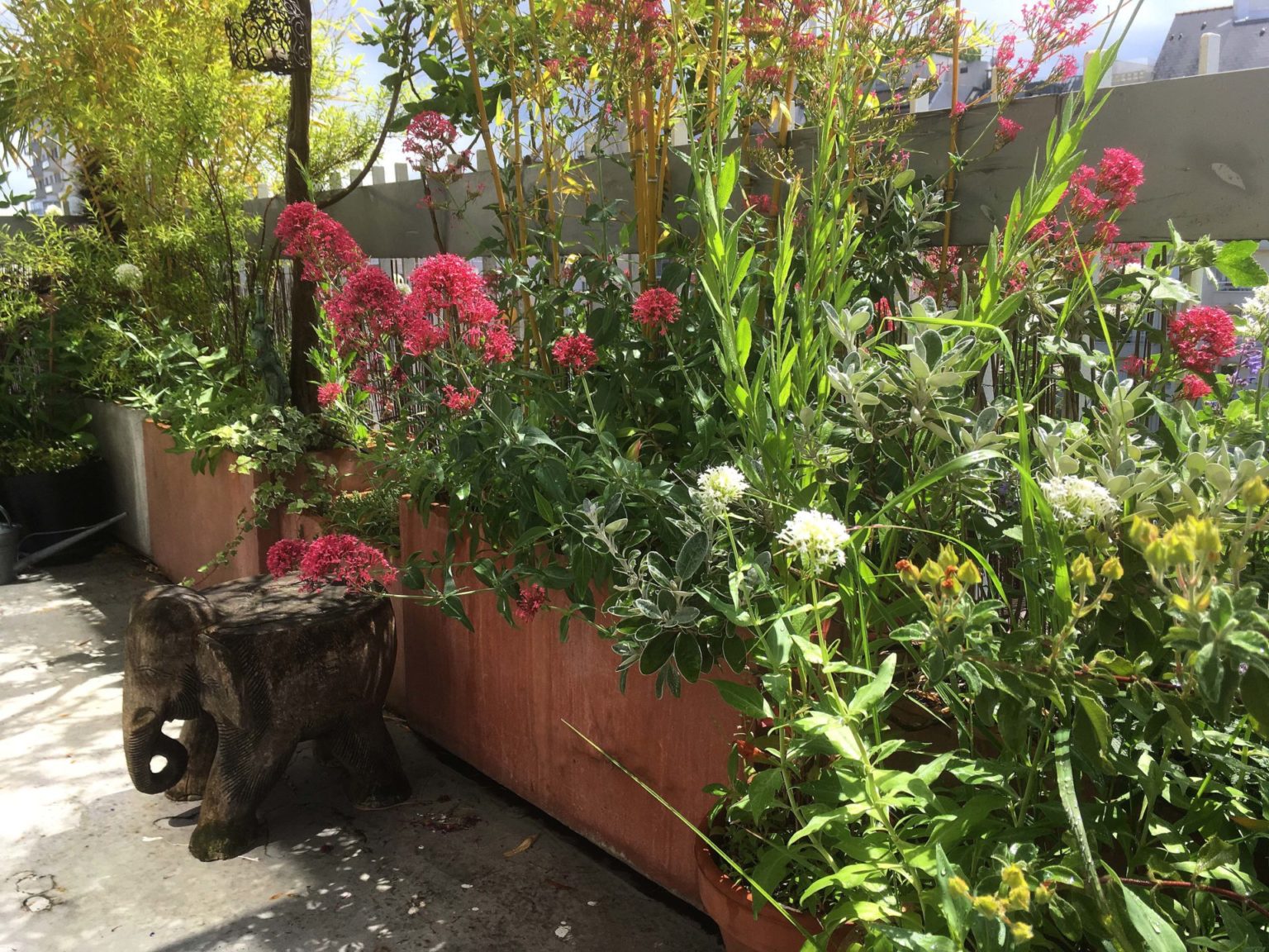 idée fleurs avec les bambous en bac