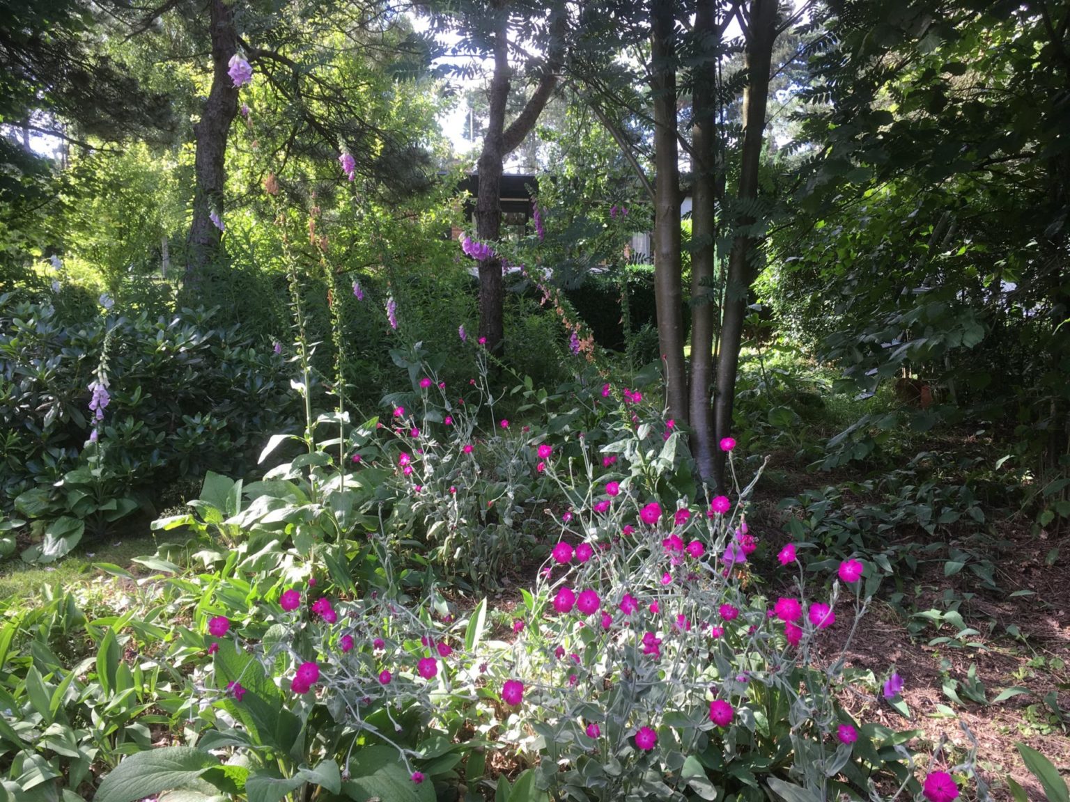 Bondues-sous-bois