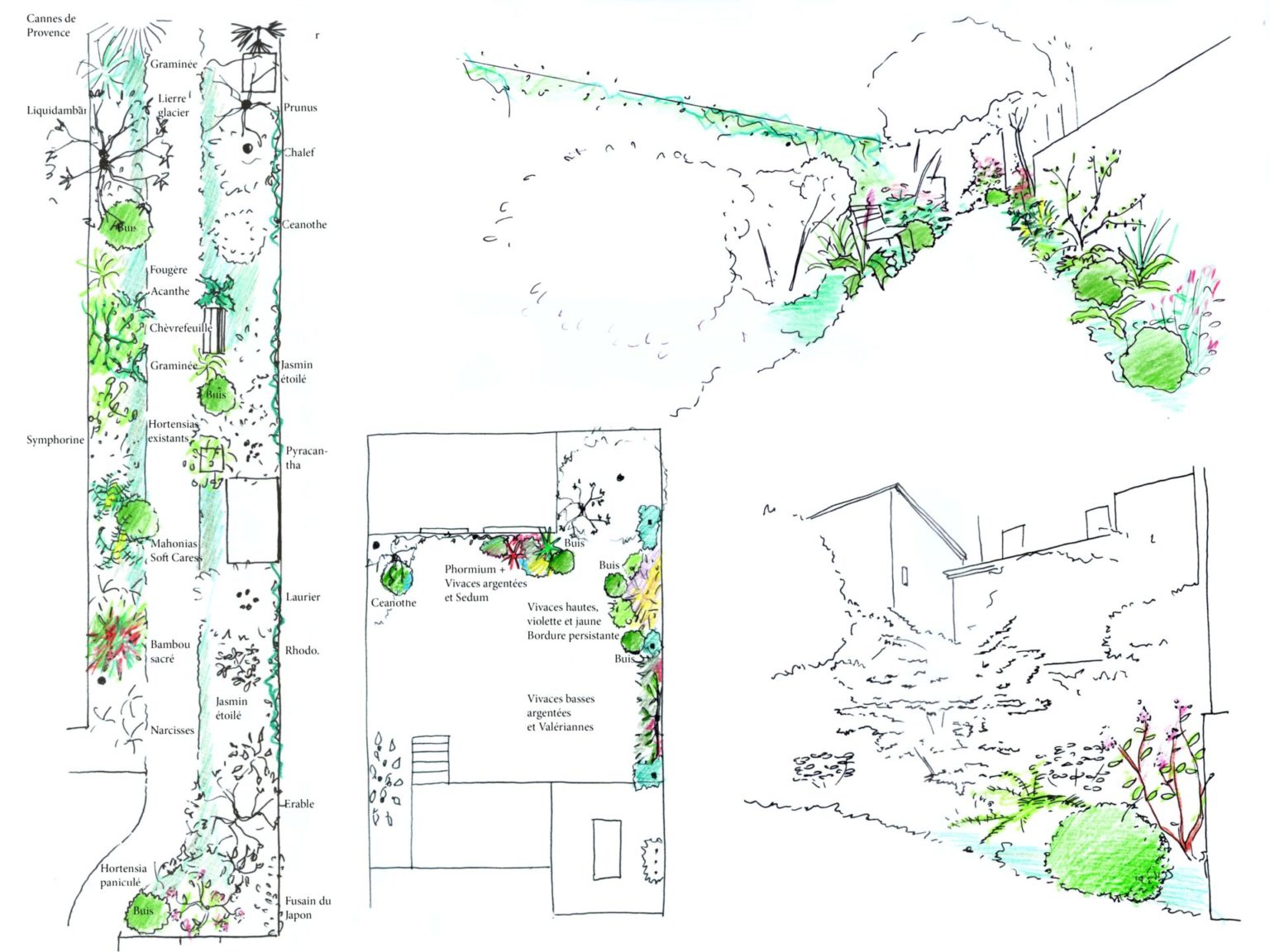 Colombes-esquisses-et-plans-juliette-blondelle