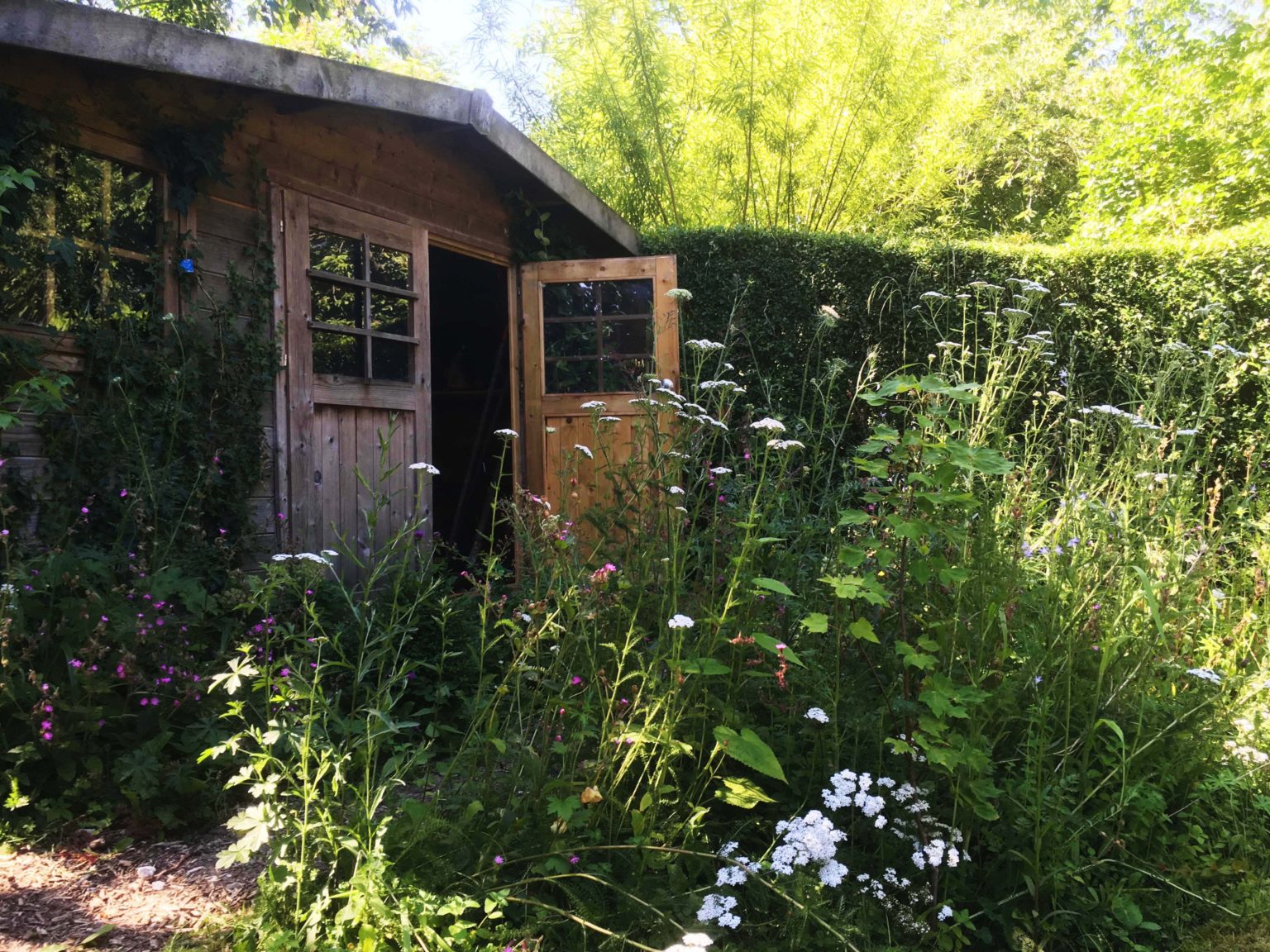 Lezennes-prairie-creation-jardin-juliette-blondelle