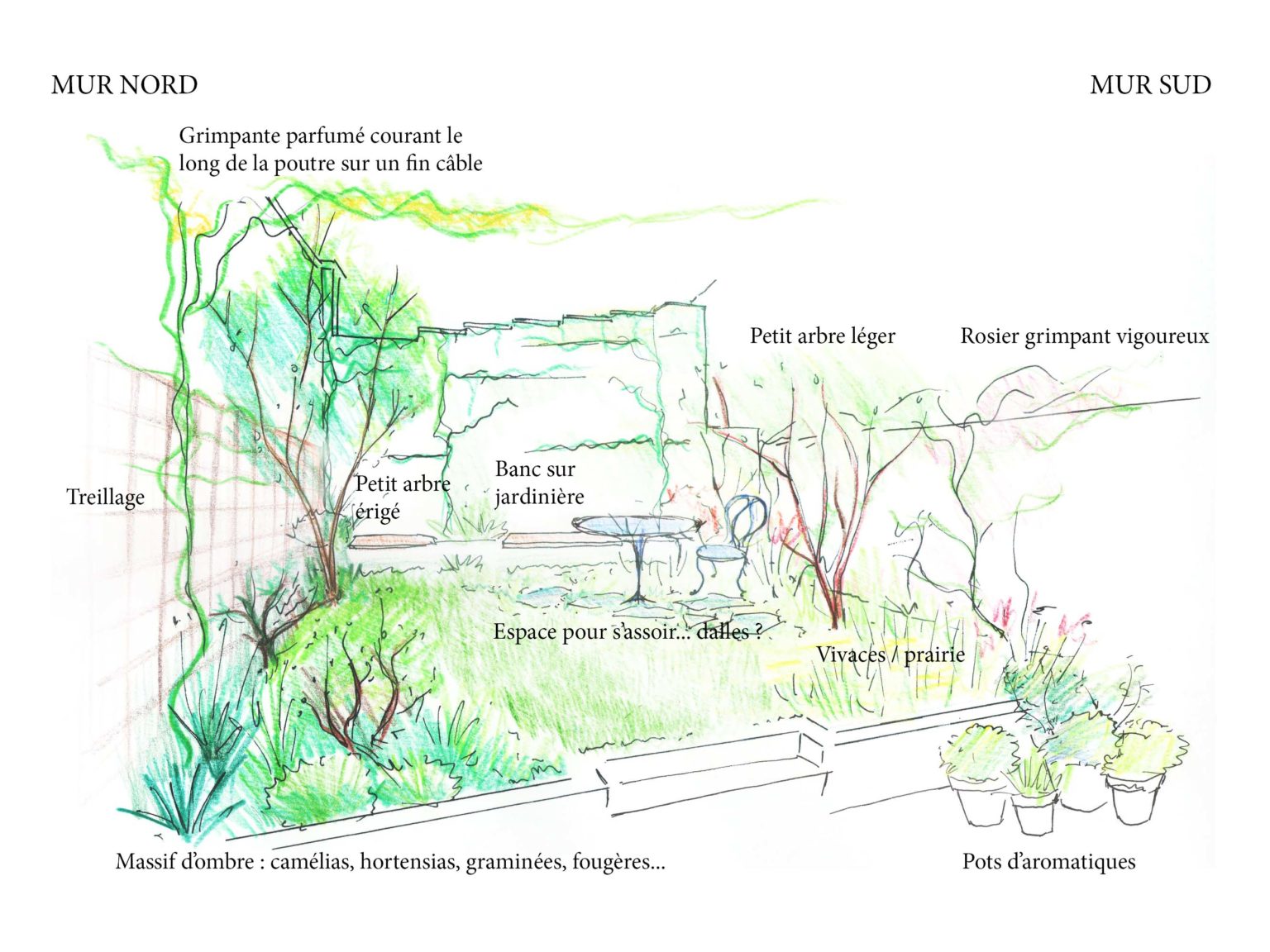 dessin jardin Lille