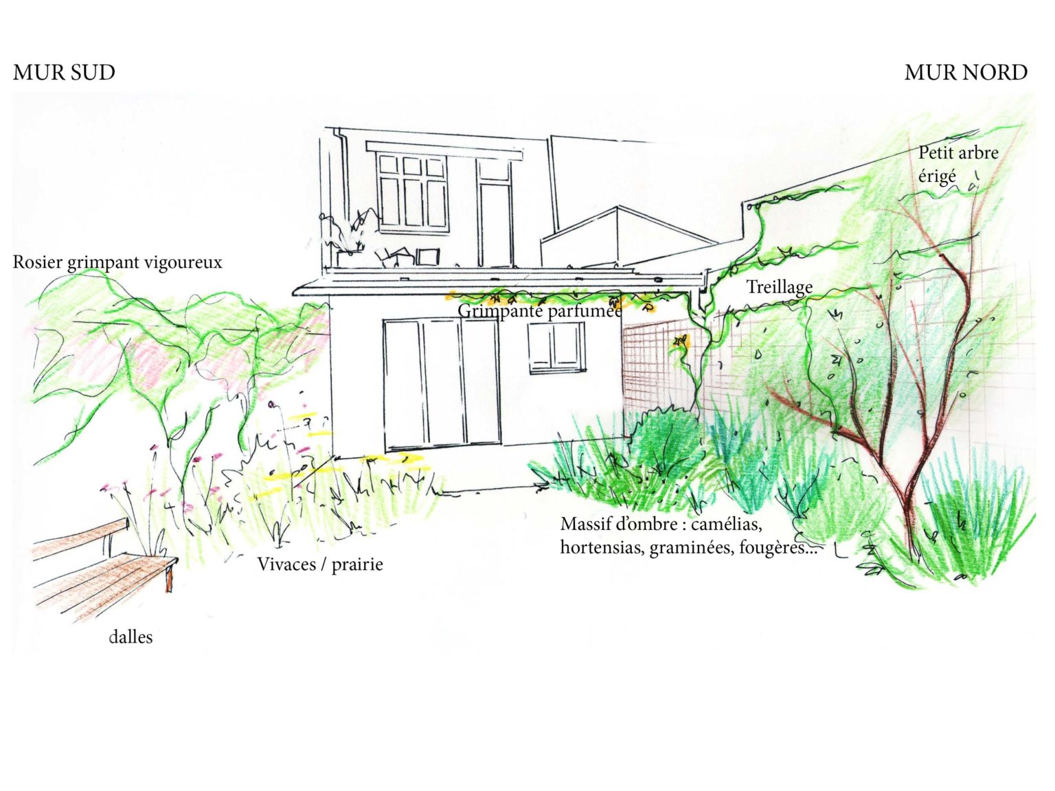 dessin jardin urbain