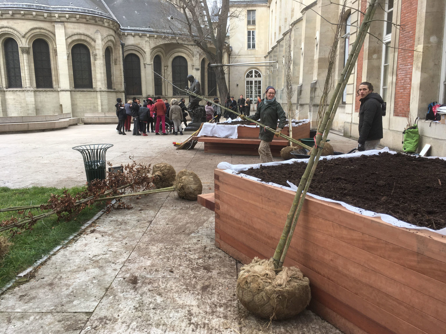 Paris-musee-des-arts-et-metiers-plantation-bois-chenes