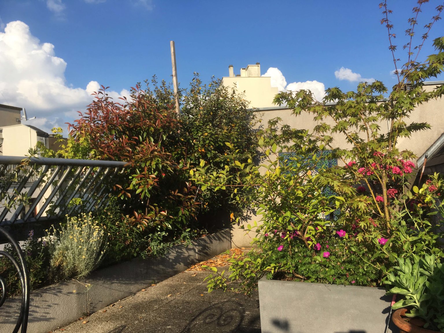 Paris-romainville-terrasse4