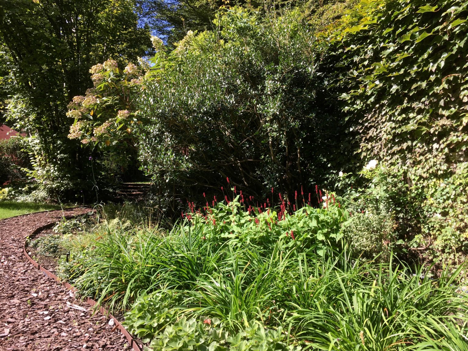 meudon-bloc-persicaria