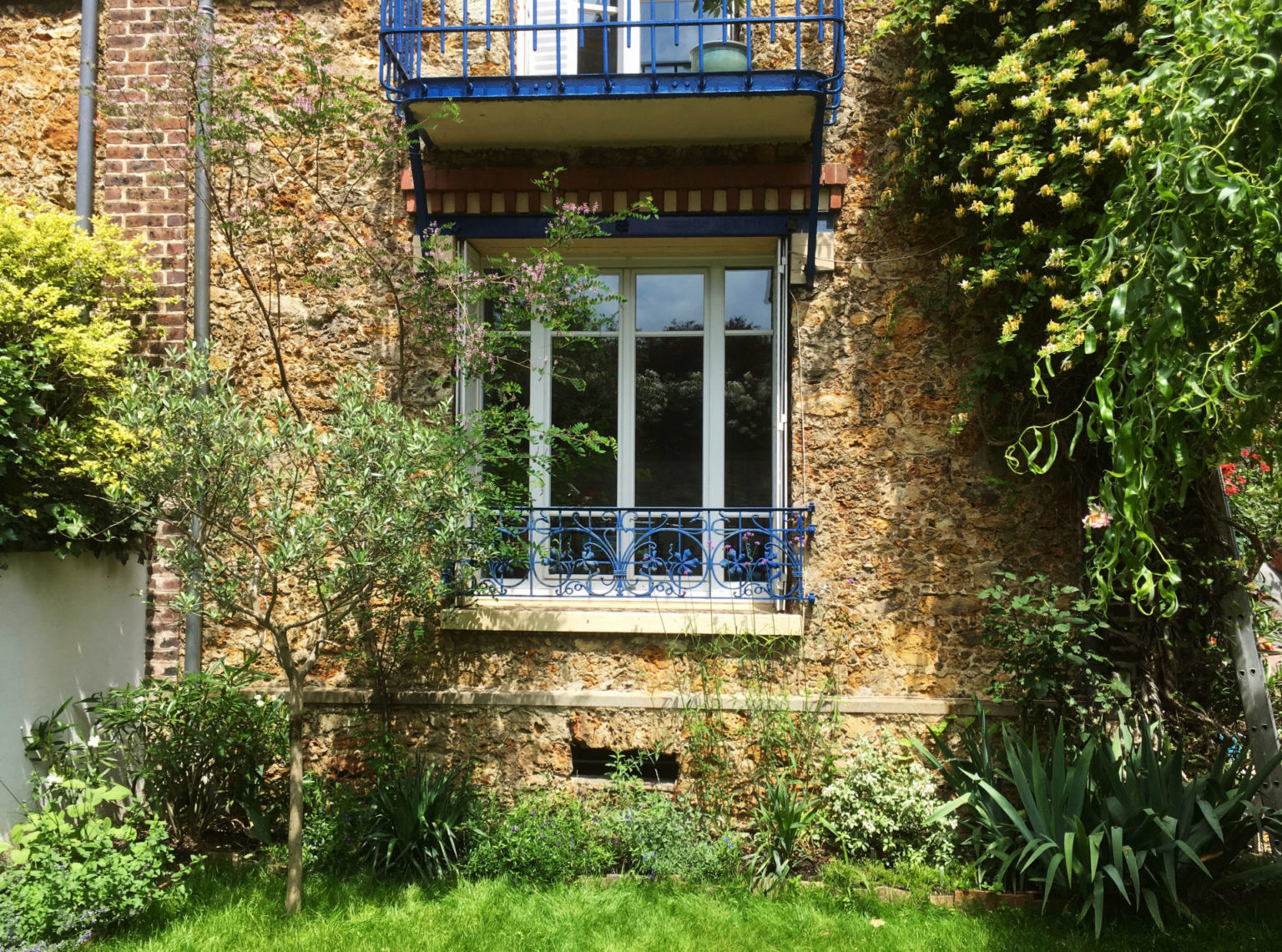 Clamart-jardin-sud-juliette-blondelle-olivier-bordure-vivaces-bleues