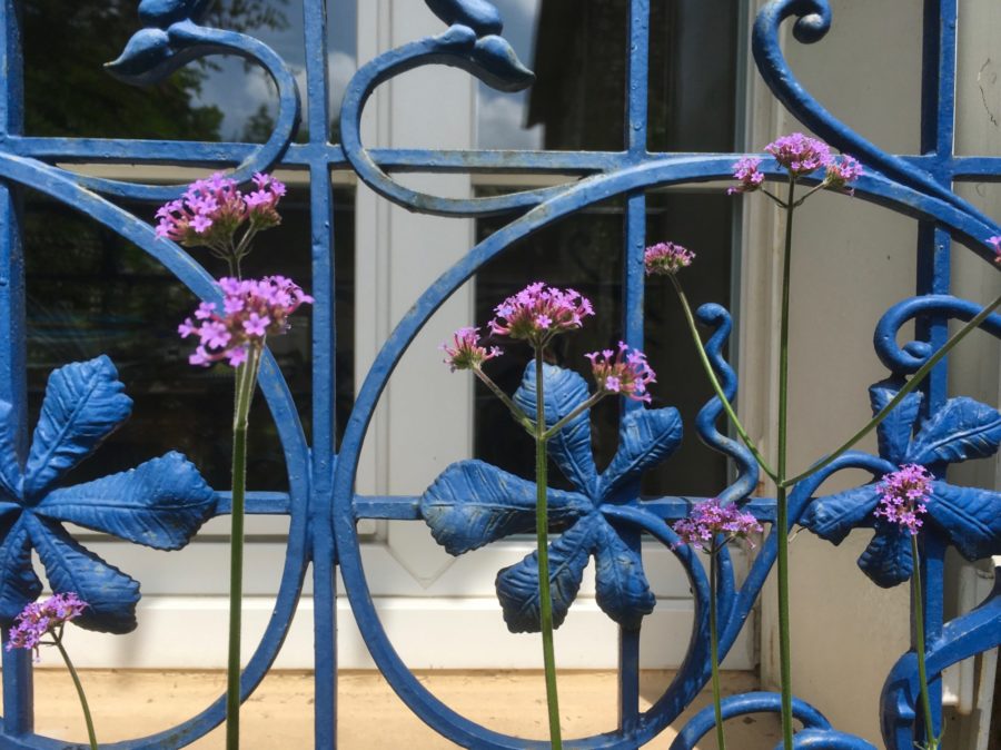 création-jardin-clamart-juliette blondelle