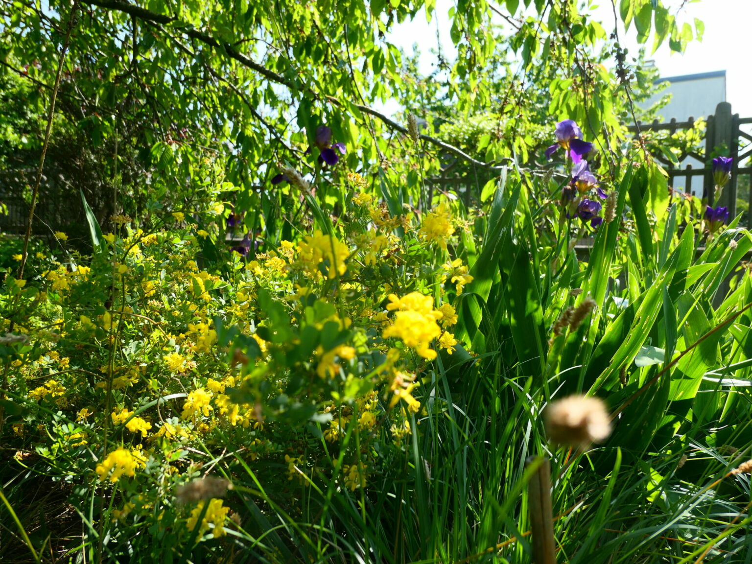 jardin creation Romainville