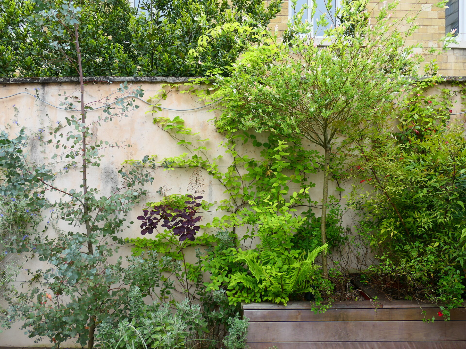 création jardin Vincennes Juliette Blondelle Paysage