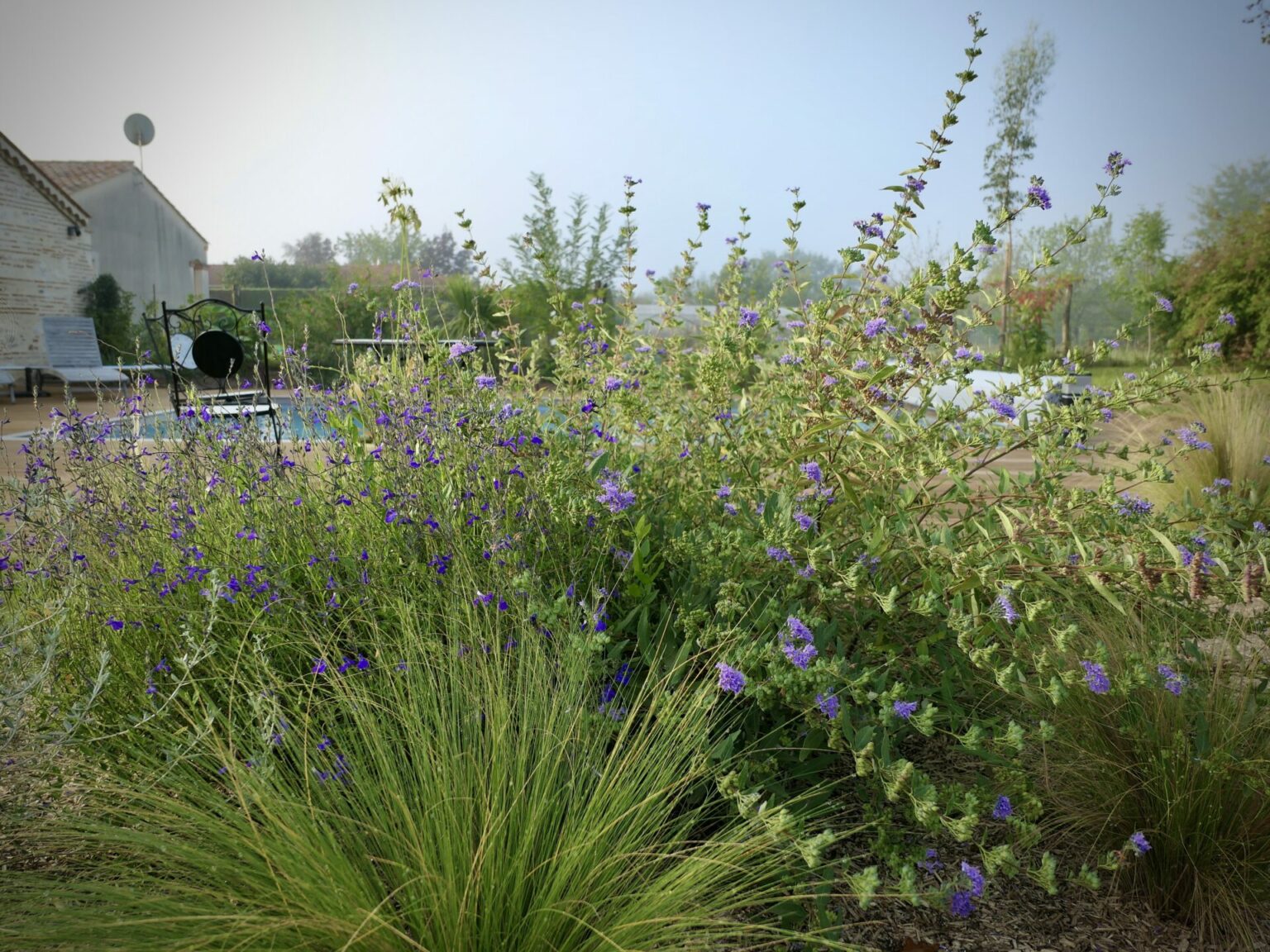 Jardin Sainte Livrade sur lot Piscine plantations