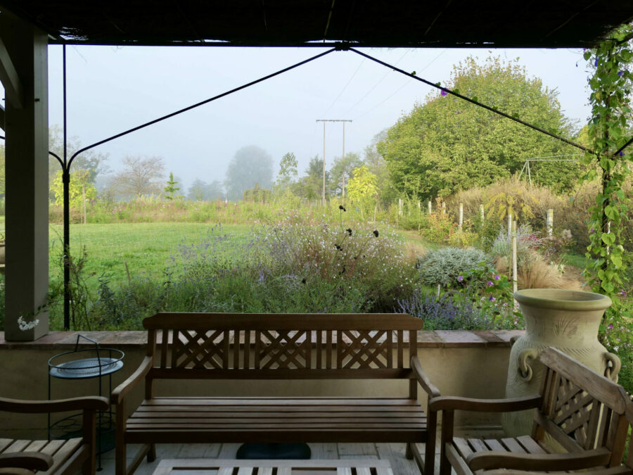 Une pergola en fer forgé permet d'apporter rapidement de l'ombre