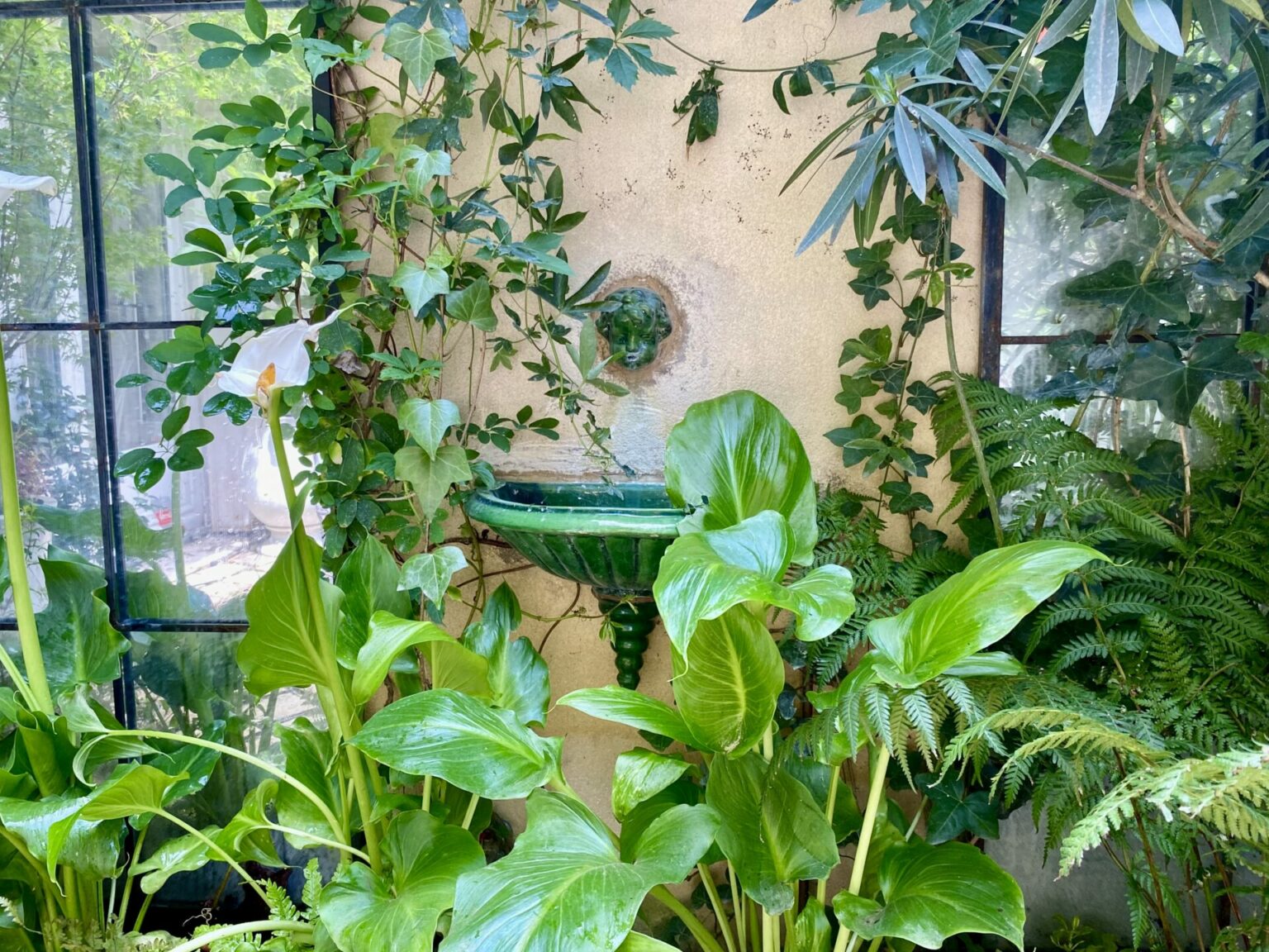 Des arums et un fuchsia sous la fausse fontaine